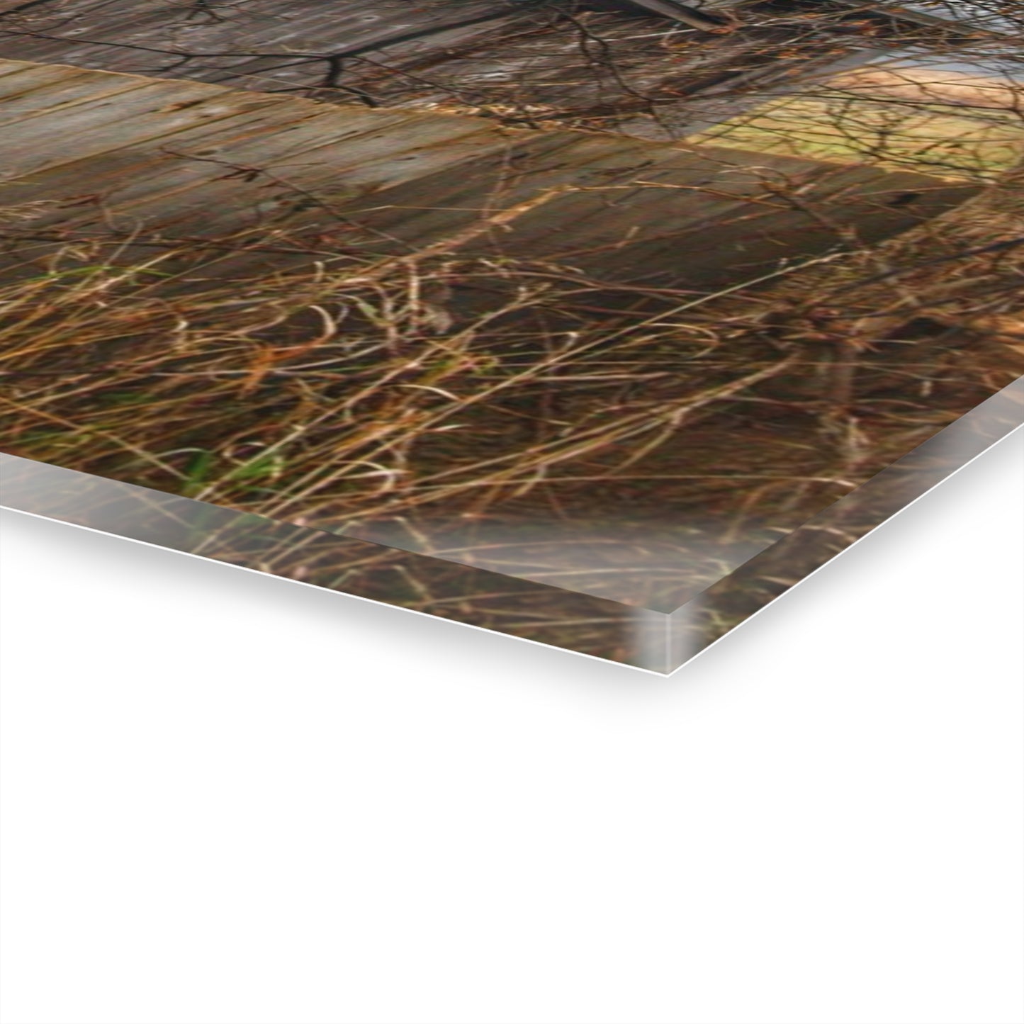 U R There Photography Bowers Road Greys III Rustic Farmhouse Acrylic Wall Print