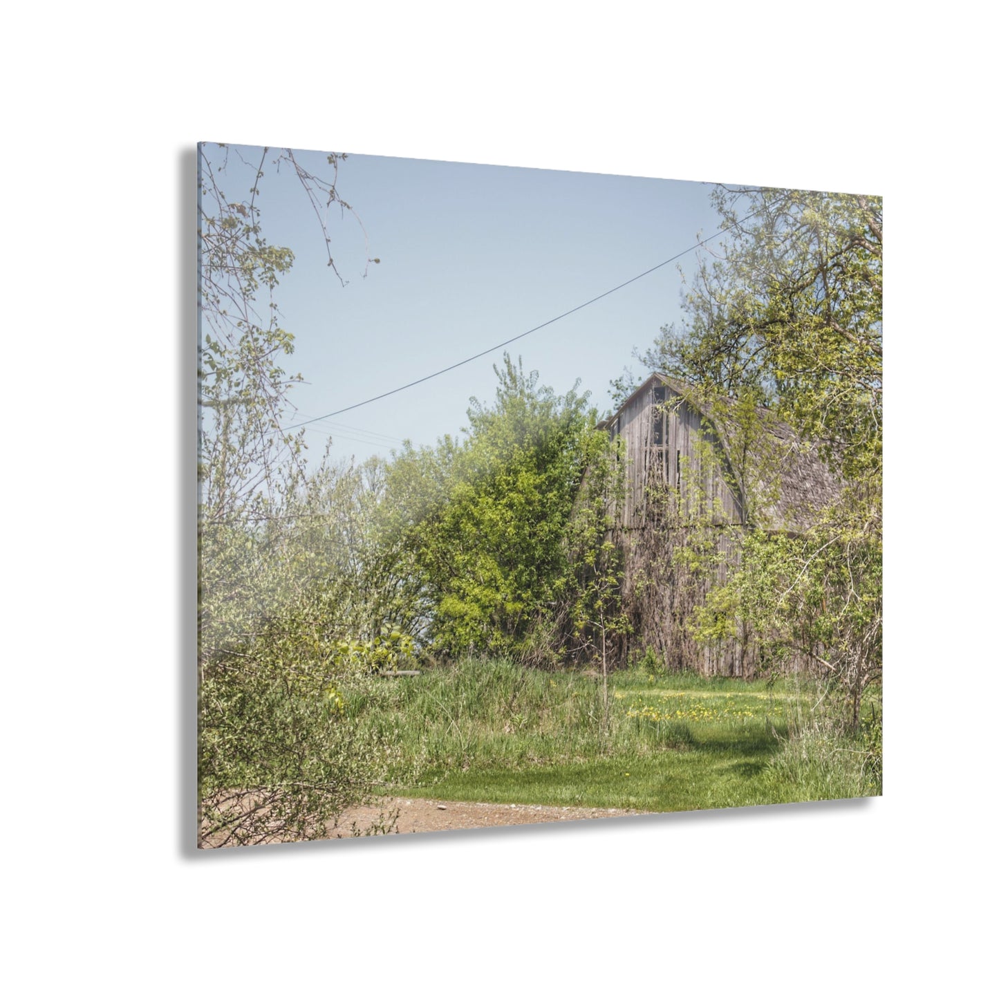 U R There Photography Bishop Road Grey II Rustic Farmhouse Acrylic Wall Print