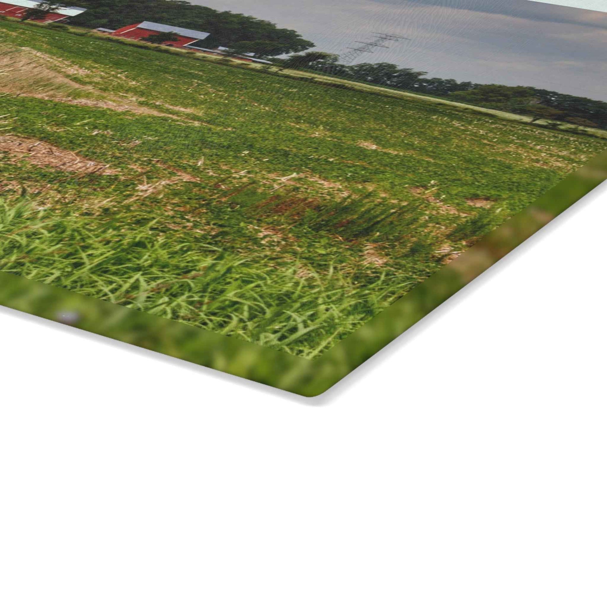 Rustic Farmhouse Cutting Board| Across the Field in Elba II