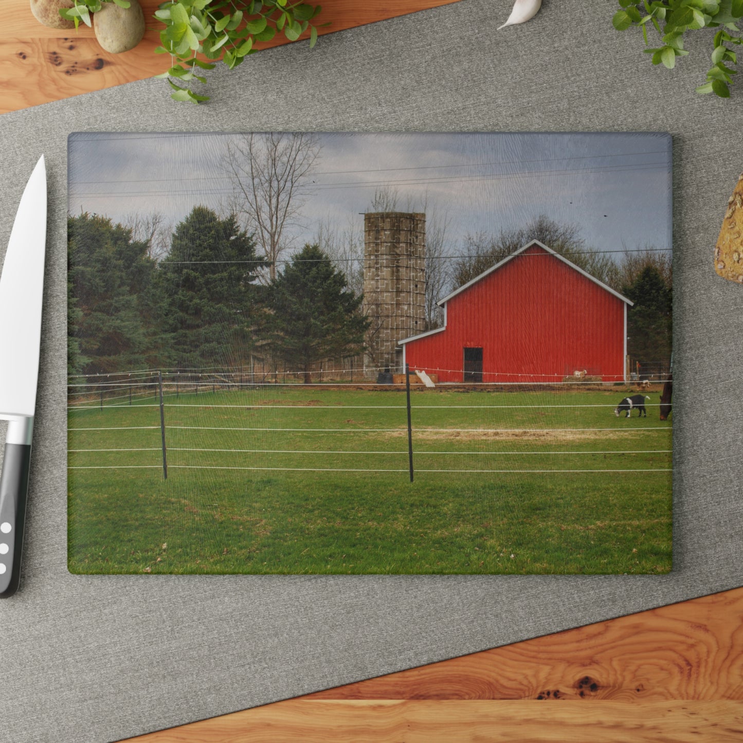 U R There Photography Fostoria Little Red Rustic Farmhouse Tempered-Glass Cutting Board