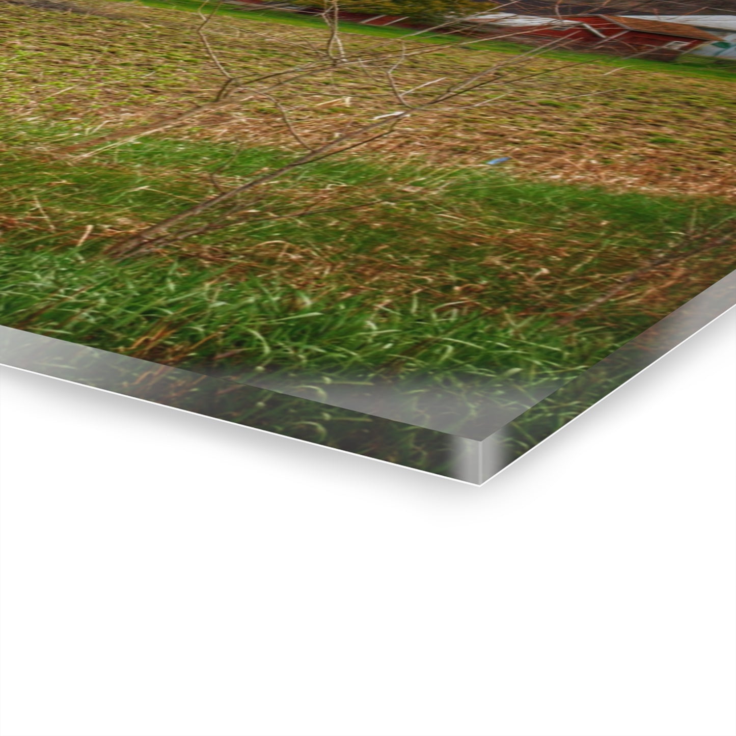 U R There Photography Fostoria Road Quonset Rustic Farmhouse Acrylic Wall Print