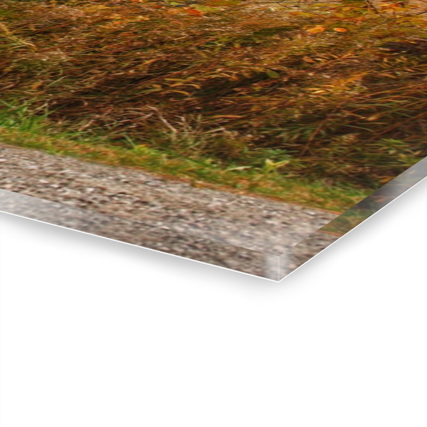 U R There Photography Hill Road White Rustic Farmhouse Acrylic Wall Print