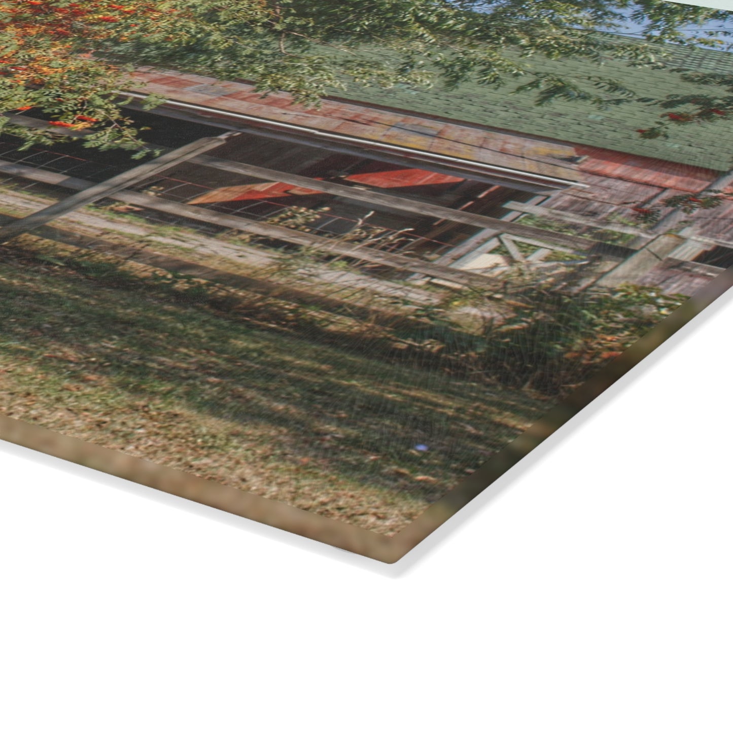 U R There Photography Farrand Road Red Coral by Flowering Tree Rustic Farmhouse Tempered-Glass Cutting Board
