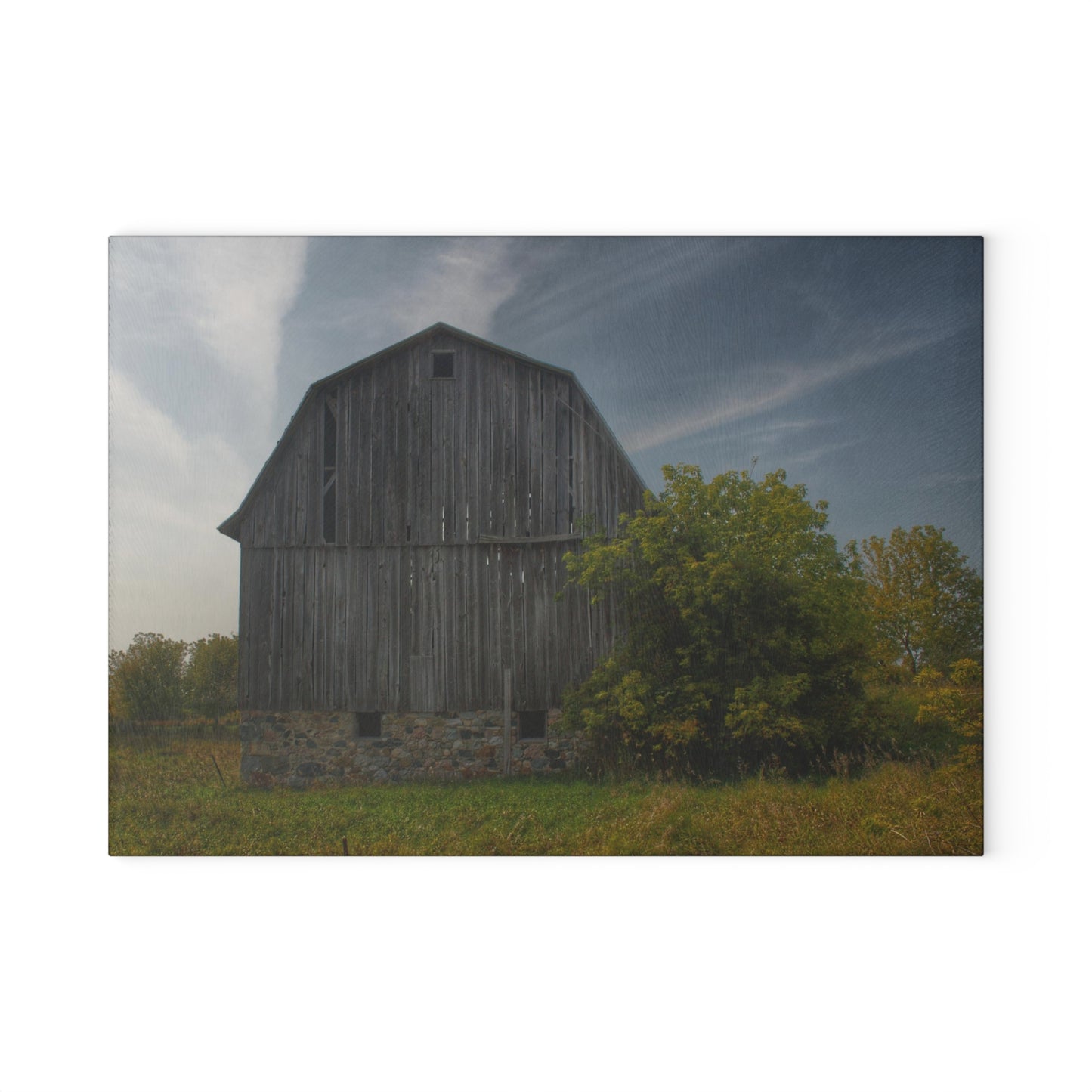 U R There Photography Cat Lake Grey I Rustic Farmhouse Tempered-Glass Cutting Board