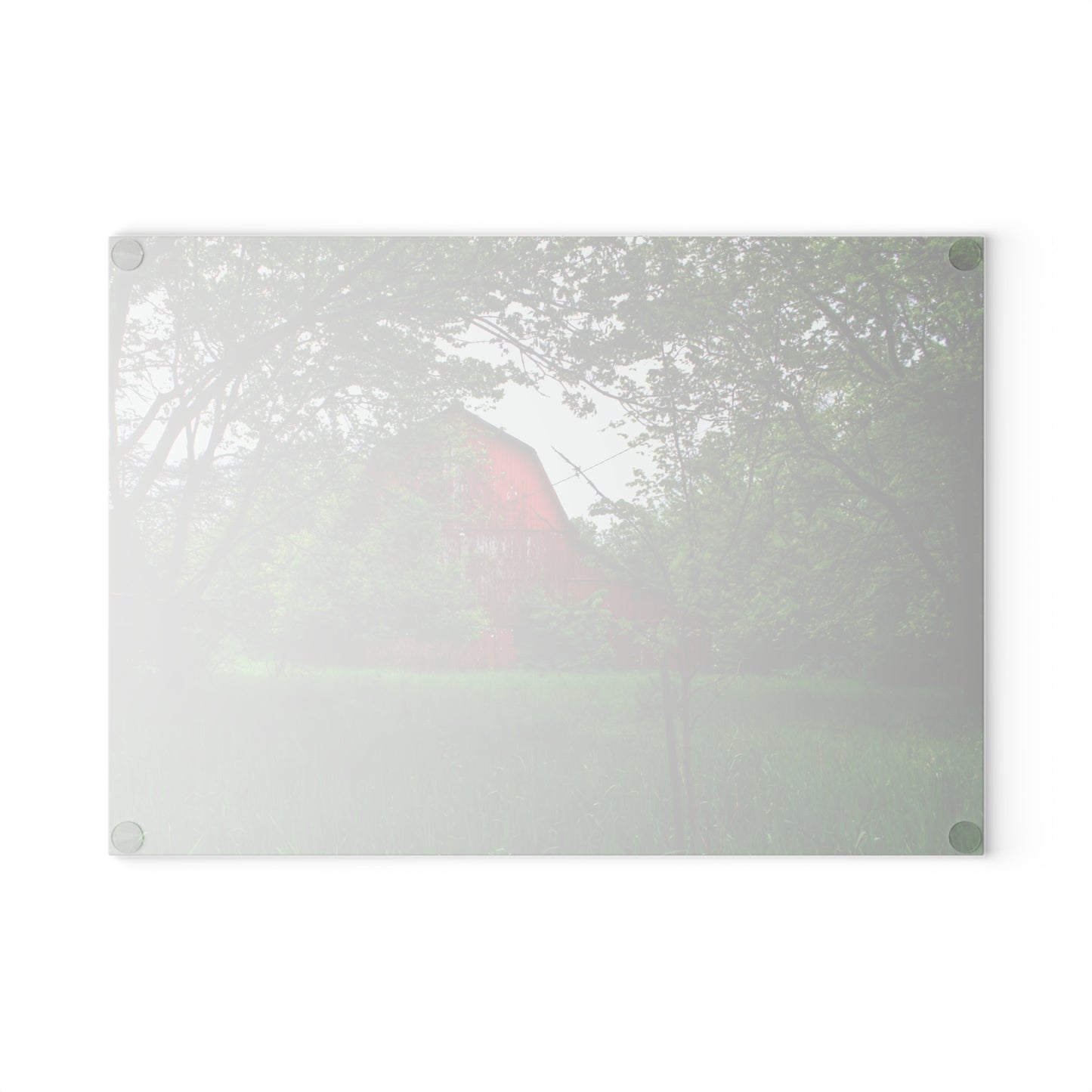 U R There Photography Bird Road Red Rustic Farmhouse Tempered-Glass Cutting Board