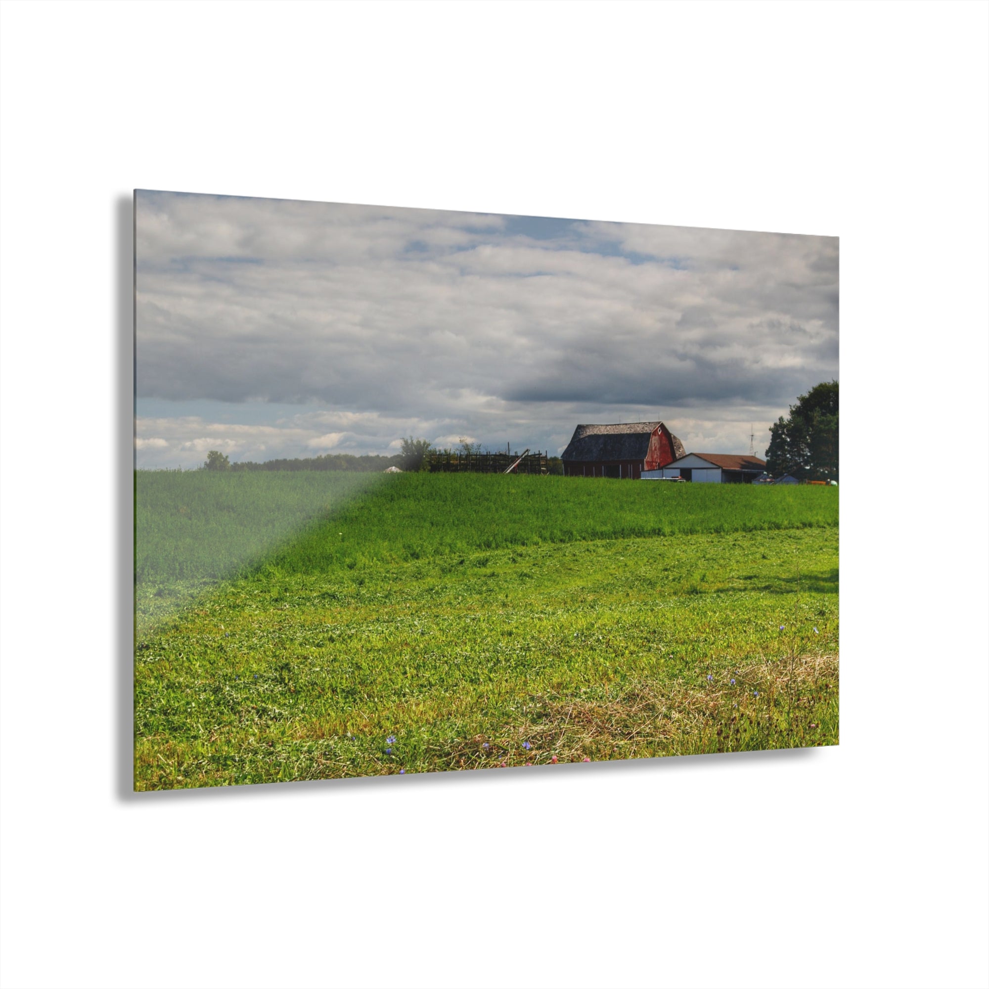 Across the Field in Kingston Rustic Farmhouse Acrylic Wall Print