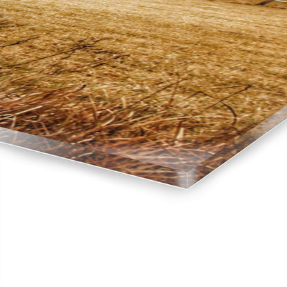 U R There Photography Laur Road Grey Rustic Farmhouse Acrylic Wall Print