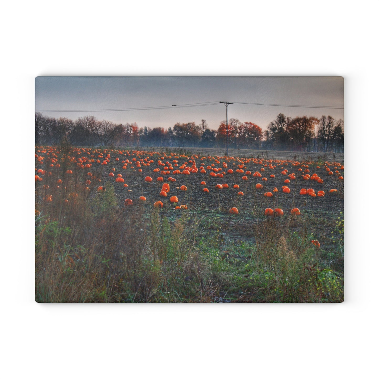 U R There Photography Five Lakes Pumpkins Rustic Farmhouse Tempered-Glass Cutting Board