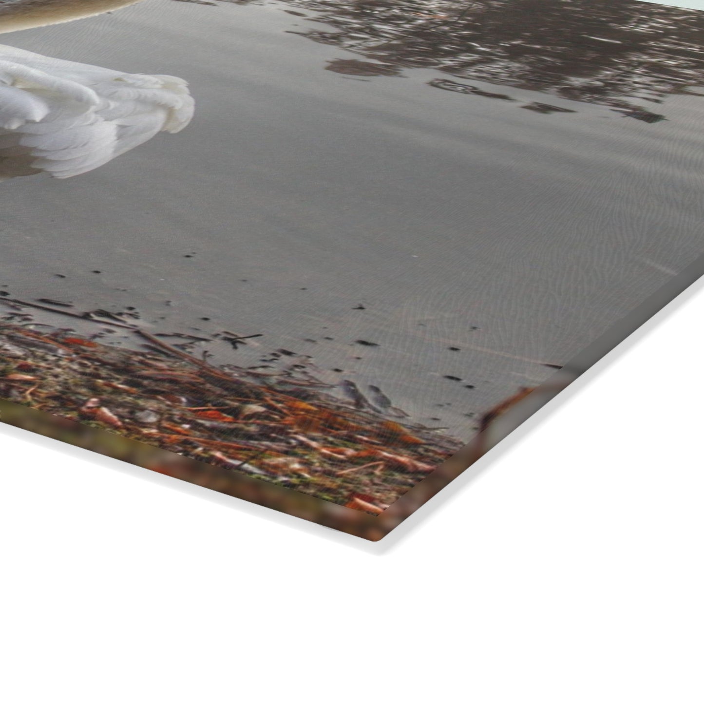 U R There Photography Swans of Duck Lake III Rustic Farmhouse Tempered-Glass Cutting Board