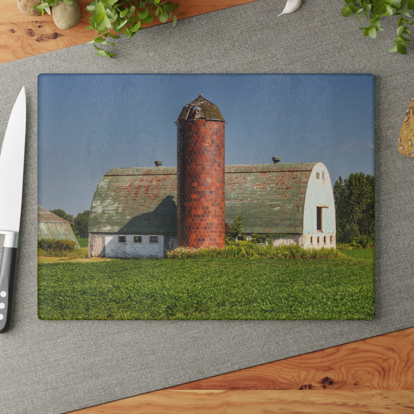 U R There Photography Elba White and Silo Rustic Farmhouse Tempered-Glass Cutting Board