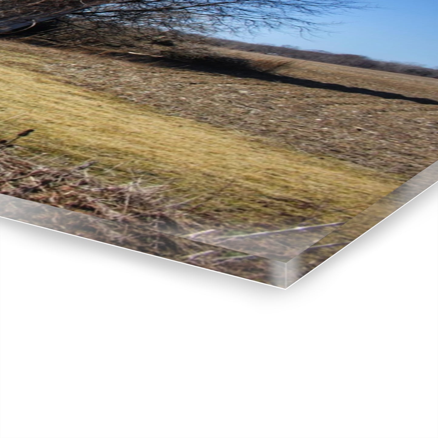 U R There Photography North Irish Red I Rustic Farmhouse Acrylic Wall Print