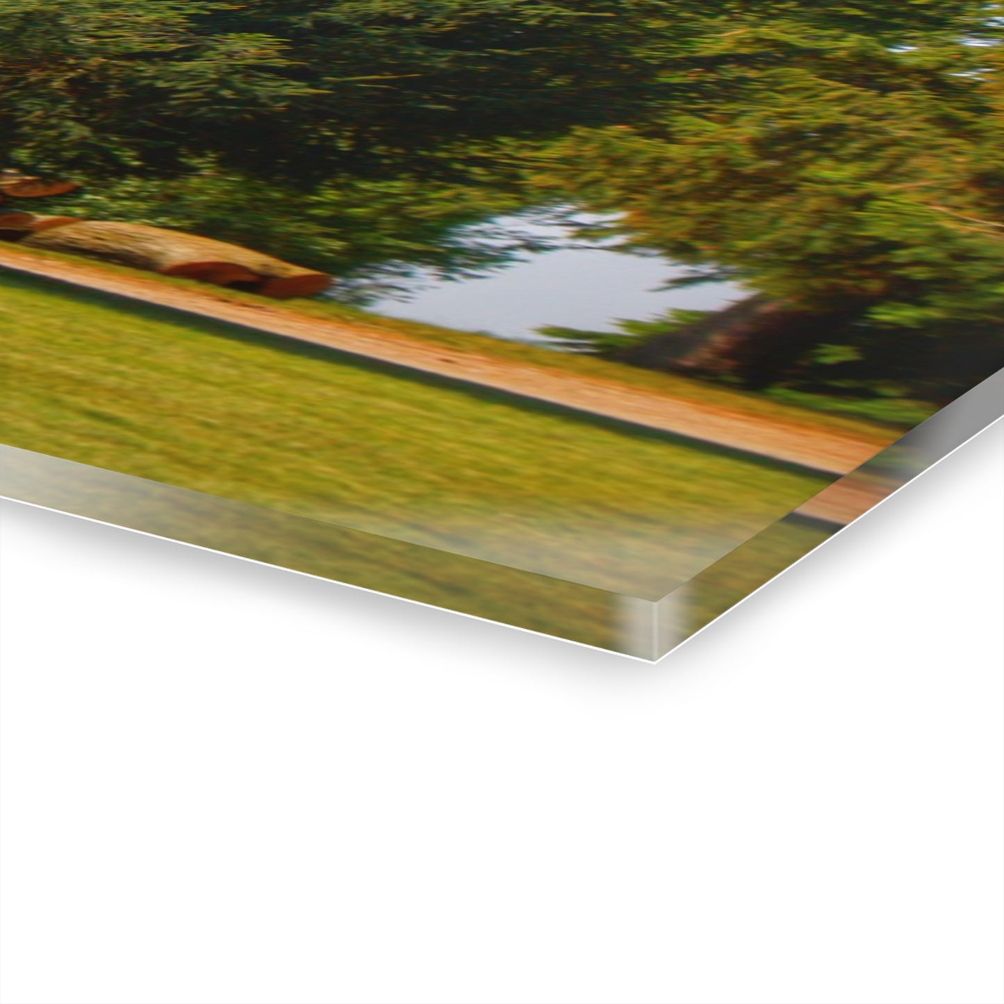 U R There Photography Mushroom Road Hidden Red Rustic Farmhouse Acrylic Wall Print