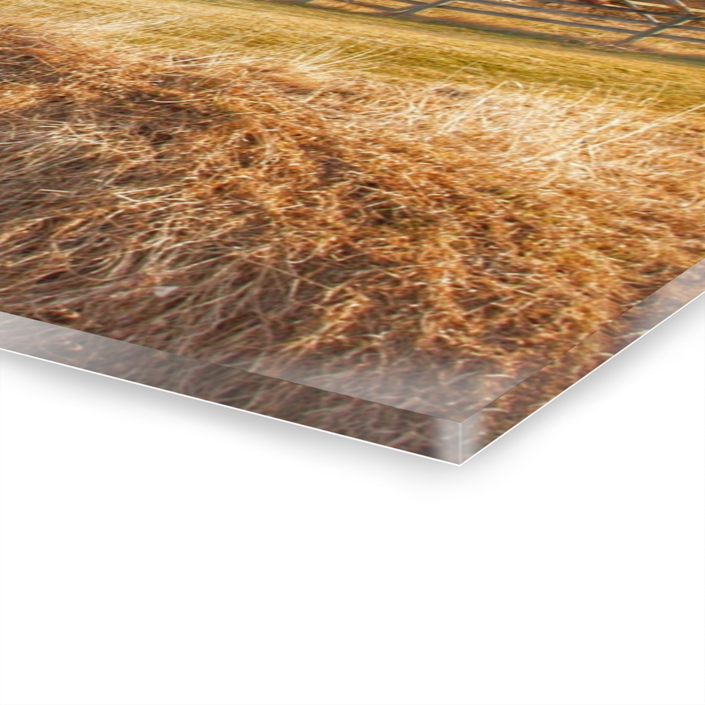 U R There Photography Irish Road Old Reds II Rustic Farmhouse Acrylic Wall Print