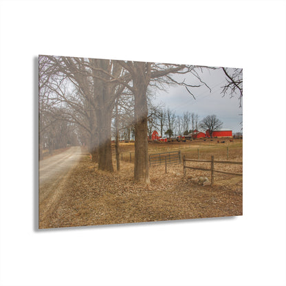 U R There Photography Wilder Road Cow Farm Rustic Farmhouse Acrylic Wall Print