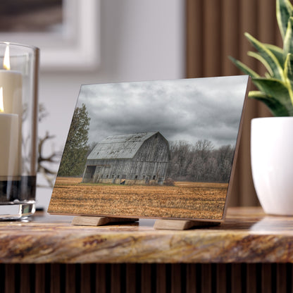 U R There Photography Grey Barn and Tree Rustic Farmhouse Decorative Ceramic Tile