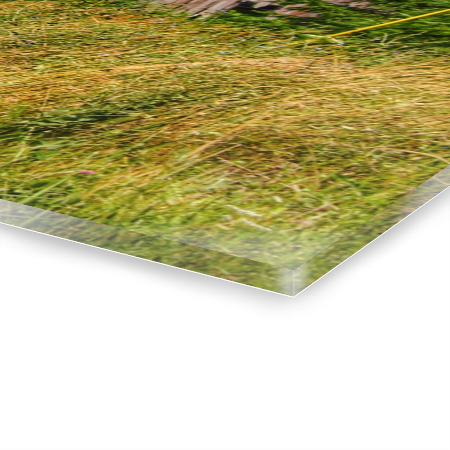 U R There Photography Lake Road Little Crooked Grey Rustic Farmhouse Acrylic Wall Print