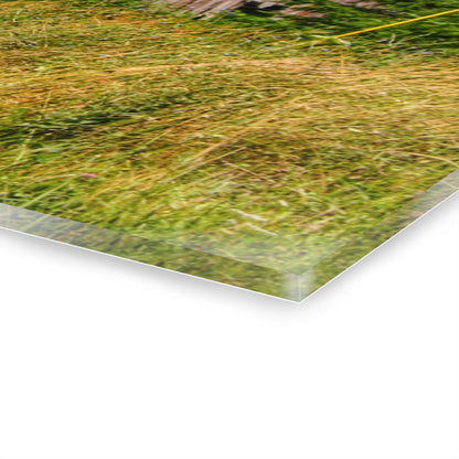 U R There Photography Lake Road Little Crooked Grey Rustic Farmhouse Acrylic Wall Print