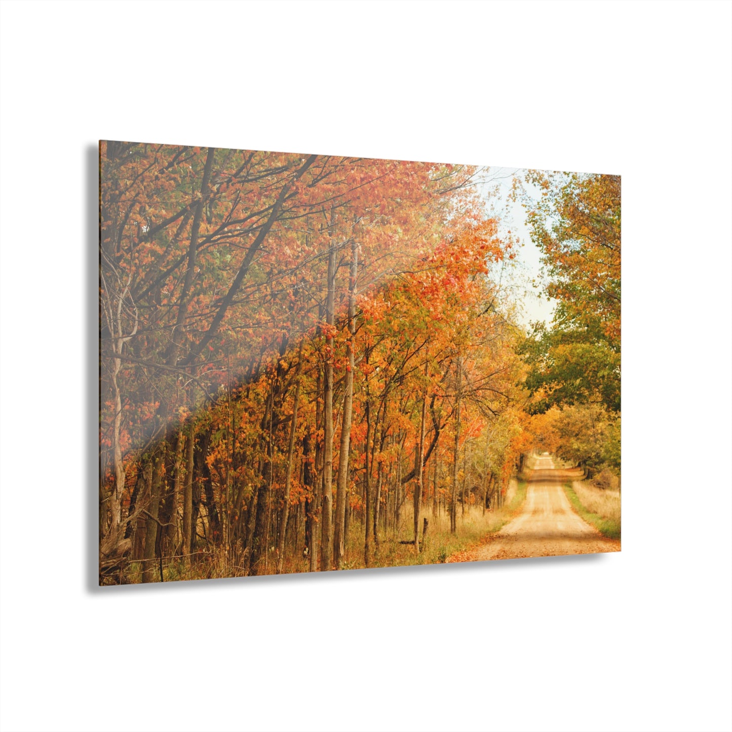 Barn Boutique Modern Farmhouse Acrylic Wall Print| Murphy Lake Road in the Fall I