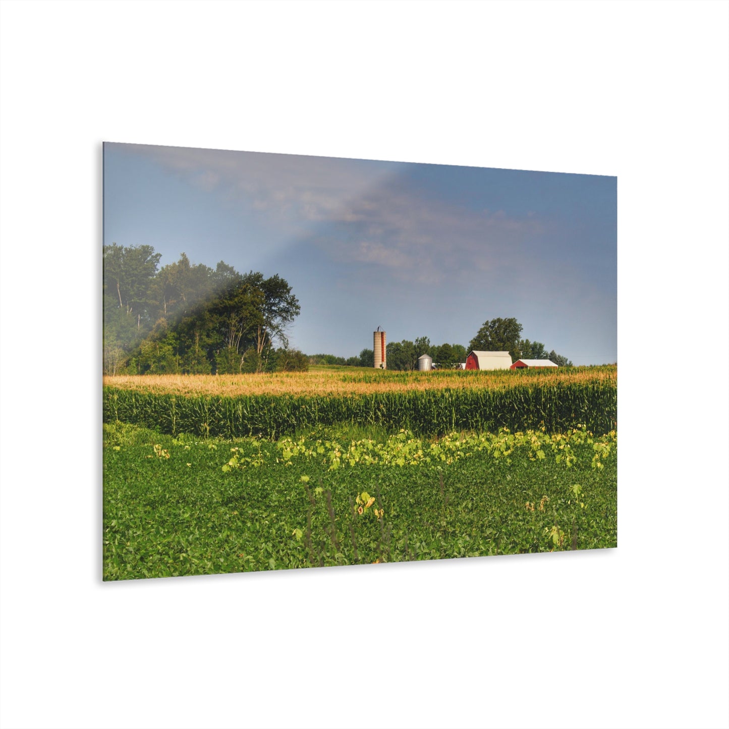 Rustic Farmhouse Wall Print Featuring Across the Field in Clifford