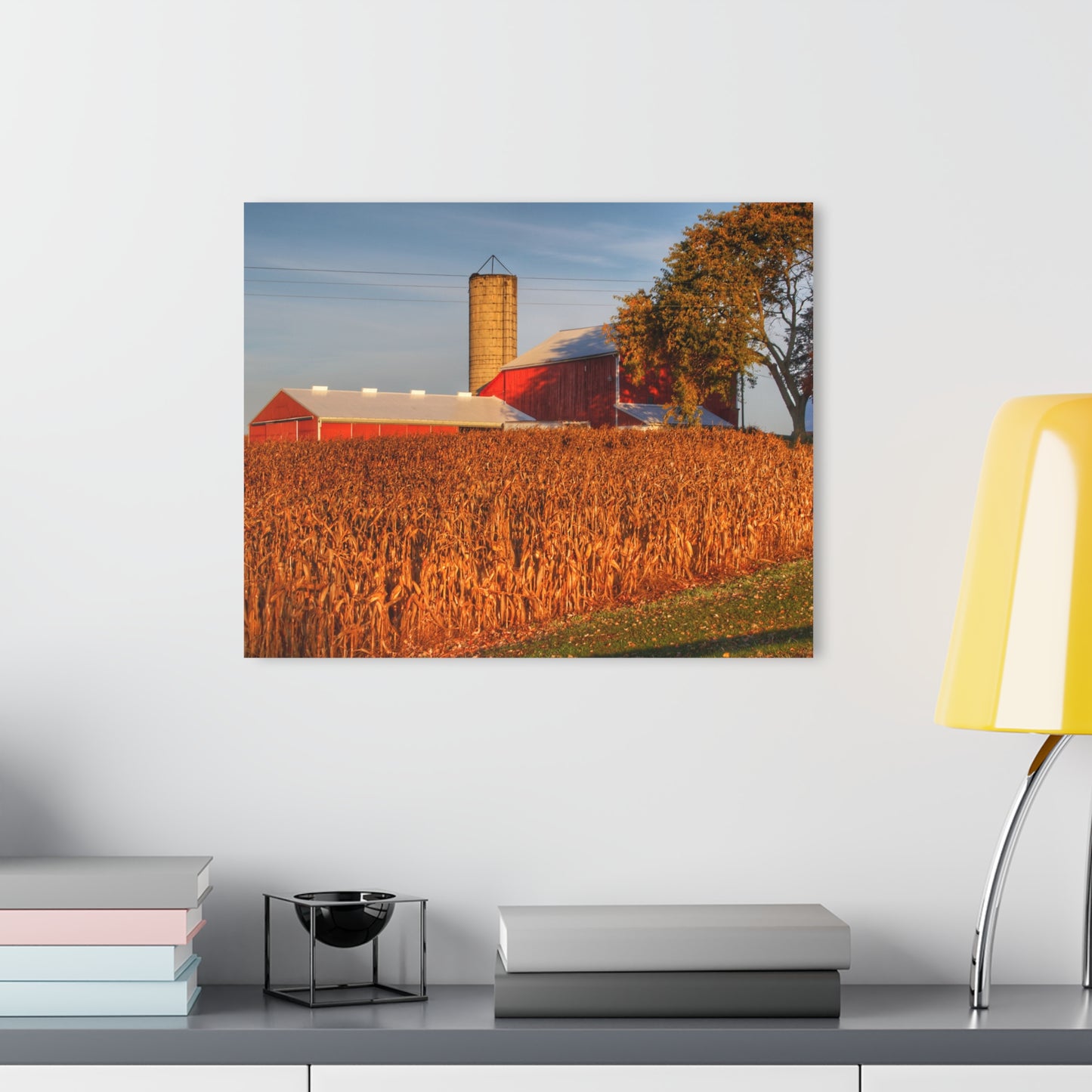 Barn Boutique Modern Farmhouse Acrylic Wall Print| Lake Pleasant Reds I