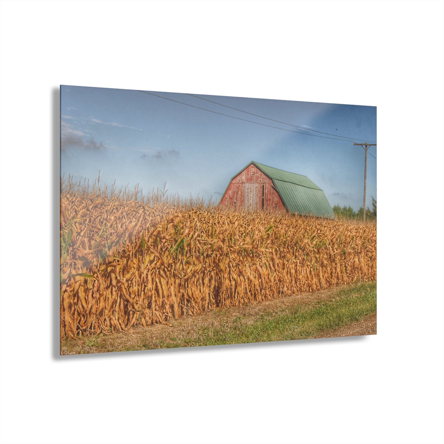 U R There Photography Beyond the Harvest Corn I Rustic Farmhouse Acrylic Wall Print