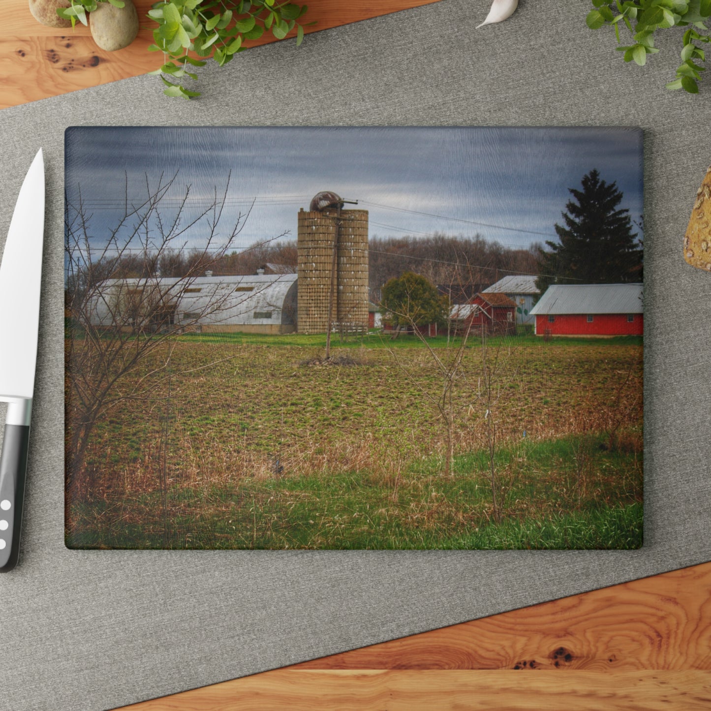 U R There Photography Fostoria Road Quonset Rustic Farmhouse Tempered-Glass Cutting Board