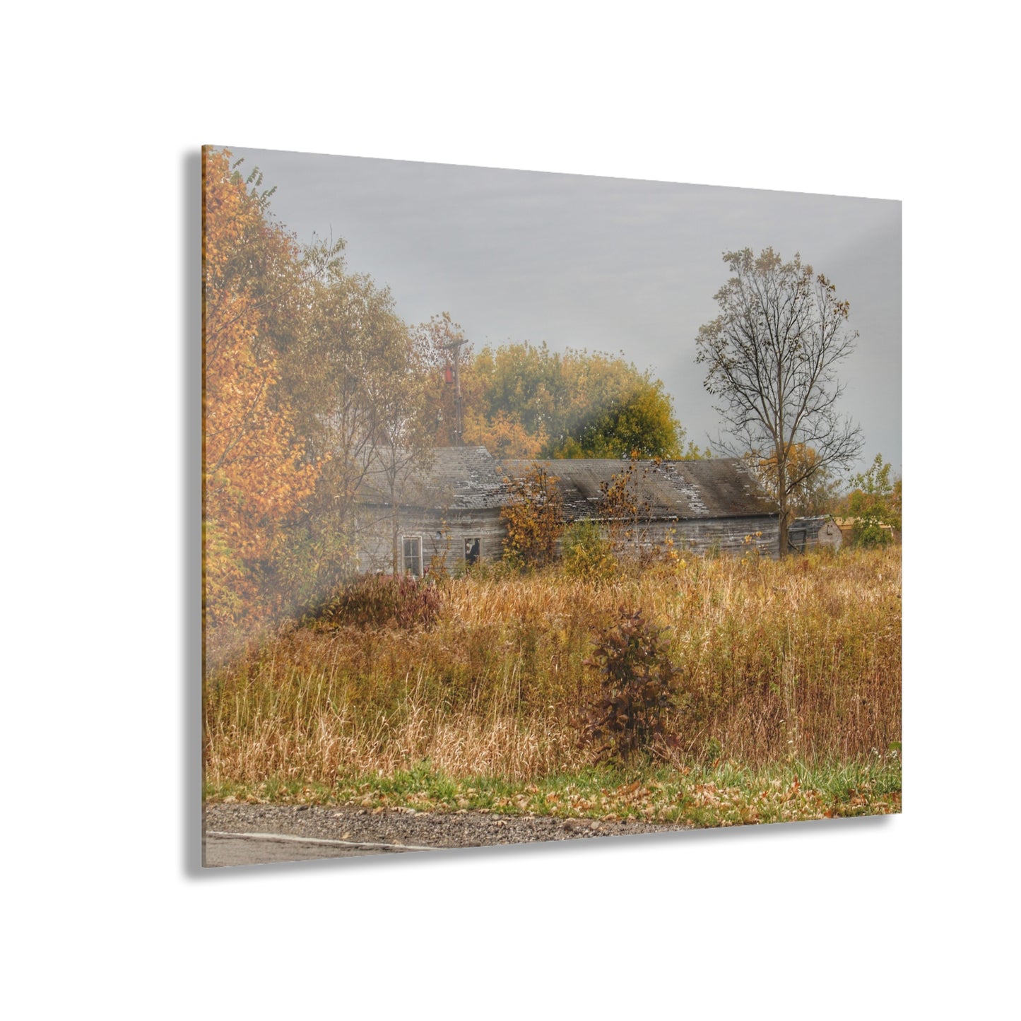 U R There Photography Hill Road Roadside Greys Rustic Farmhouse Acrylic Wall Print
