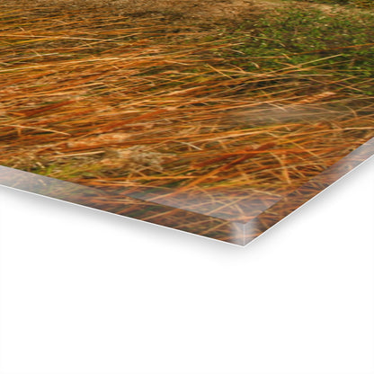 U R There Photography Murphy Lake Road Hidden Red Rustic Farmhouse Acrylic Wall Print