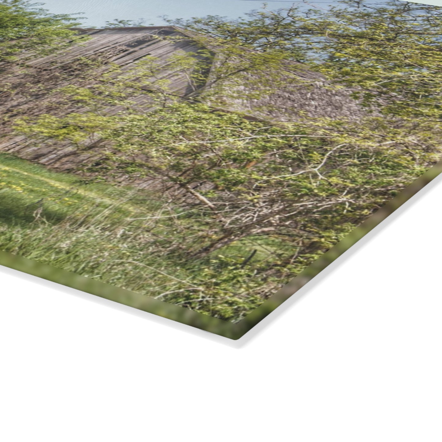 U R There Photography Bishop Road Grey II Rustic Farmhouse Tempered-Glass Cutting Board