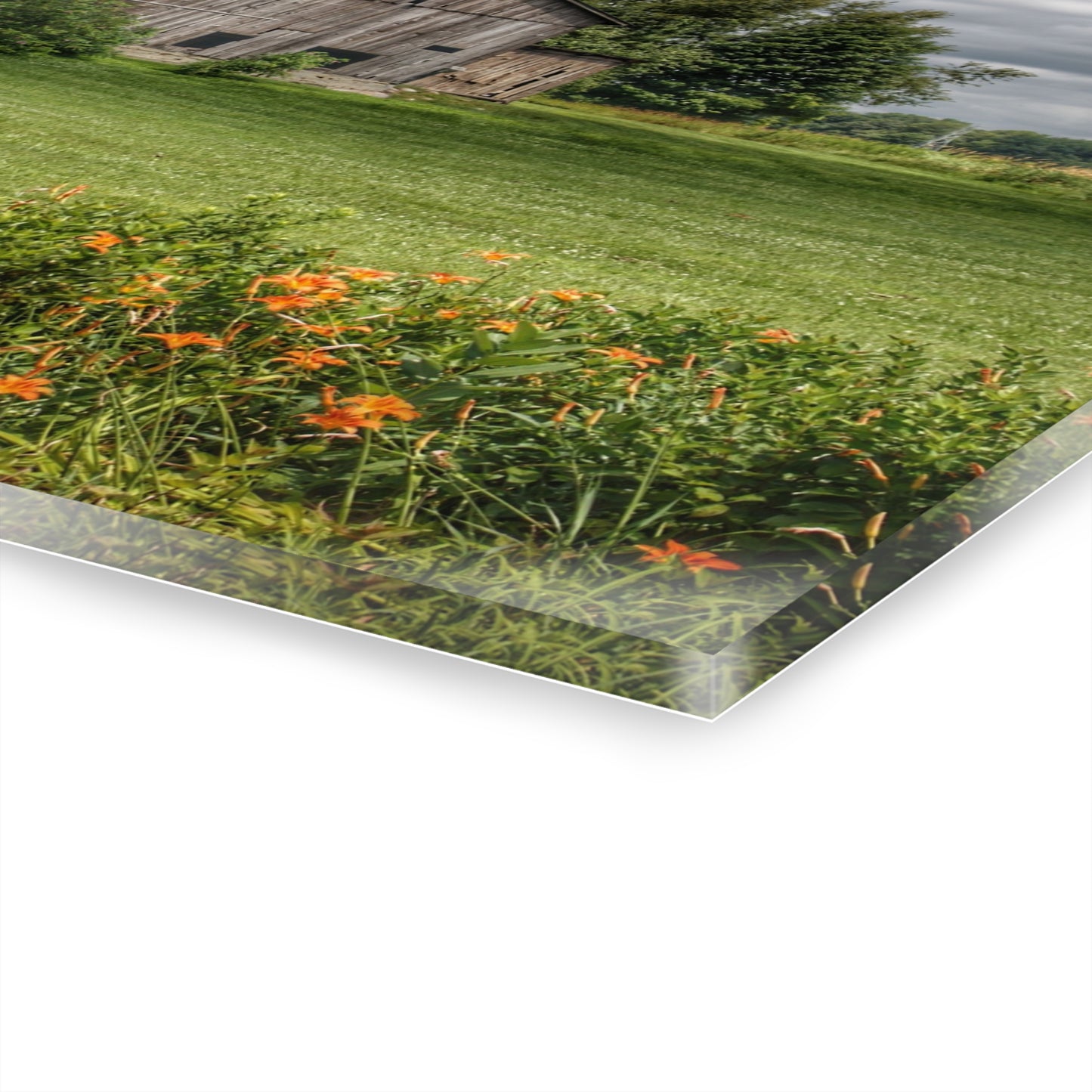 U R There Photography Millington Road Lilly Grey Rustic Farmhouse Acrylic Wall Print