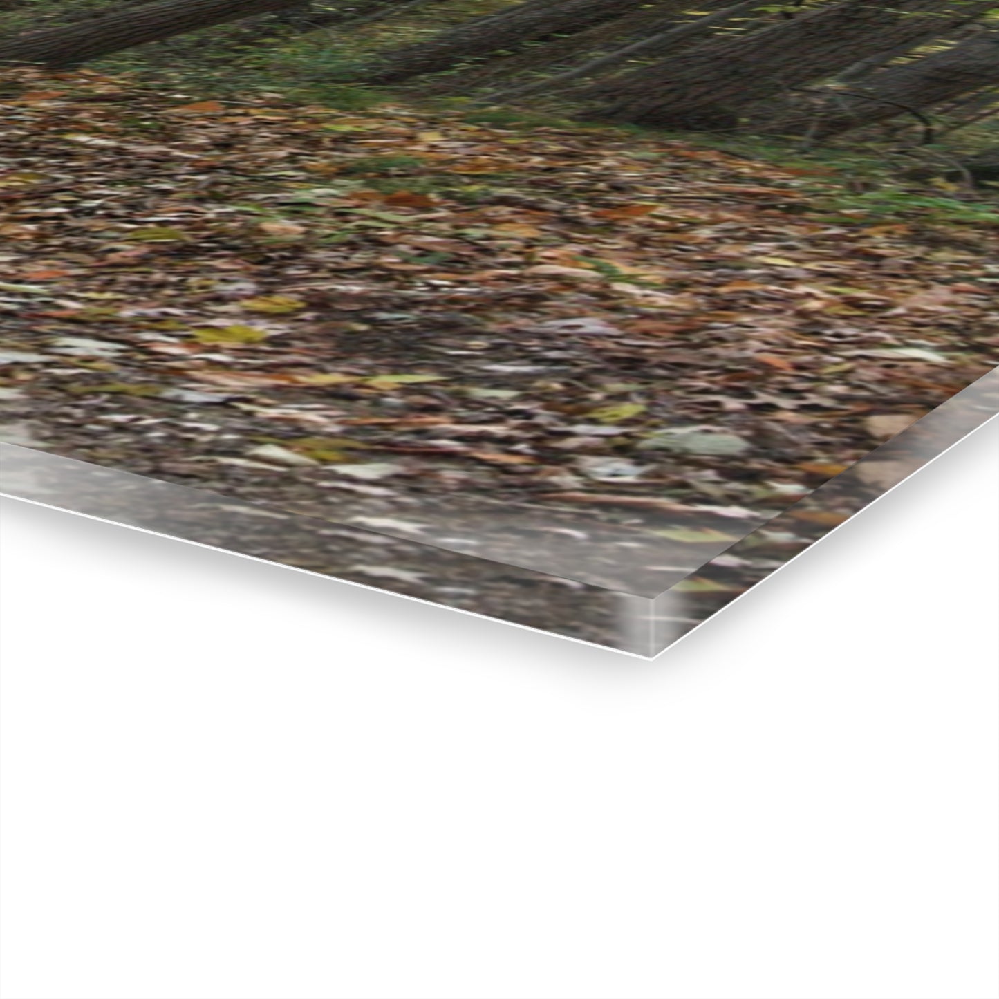 U R There Photography Country Roads in Dryden IV Rustic Farmhouse Acrylic Wall Print
