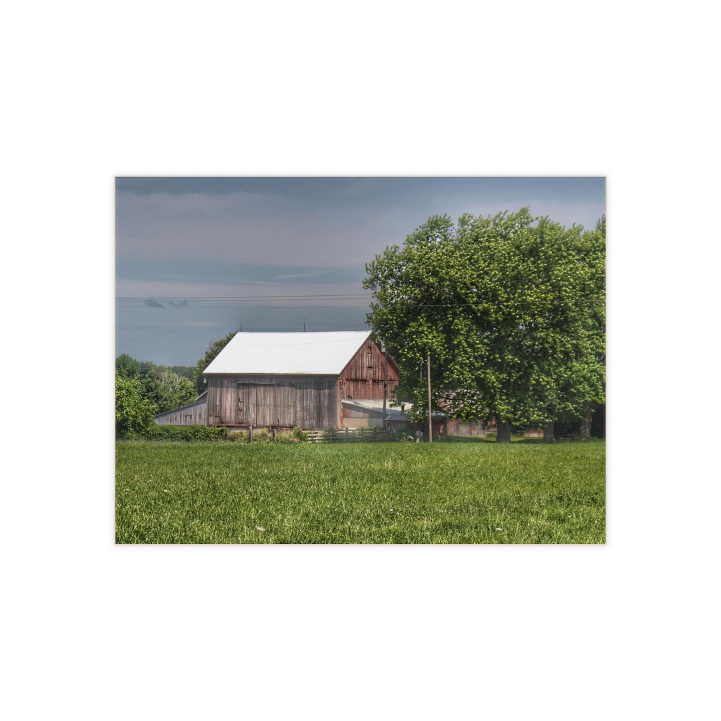 U R There Photography Castle Road Cow Barn III Rustic Farmhouse Decorative Ceramic Tile