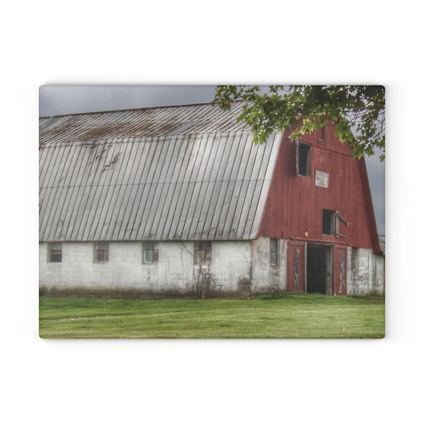 U R There Photography Peters Red Appaloosa III Rustic Farmhouse Tempered-Glass Cutting Board