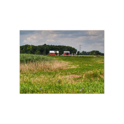 U R There Photography Across the Field in Elba II Rustic Farmhouse Decorative Ceramic Tile