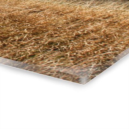 U R There Photography Dodge Road Hay Barn I Rustic Farmhouse Acrylic Wall Print