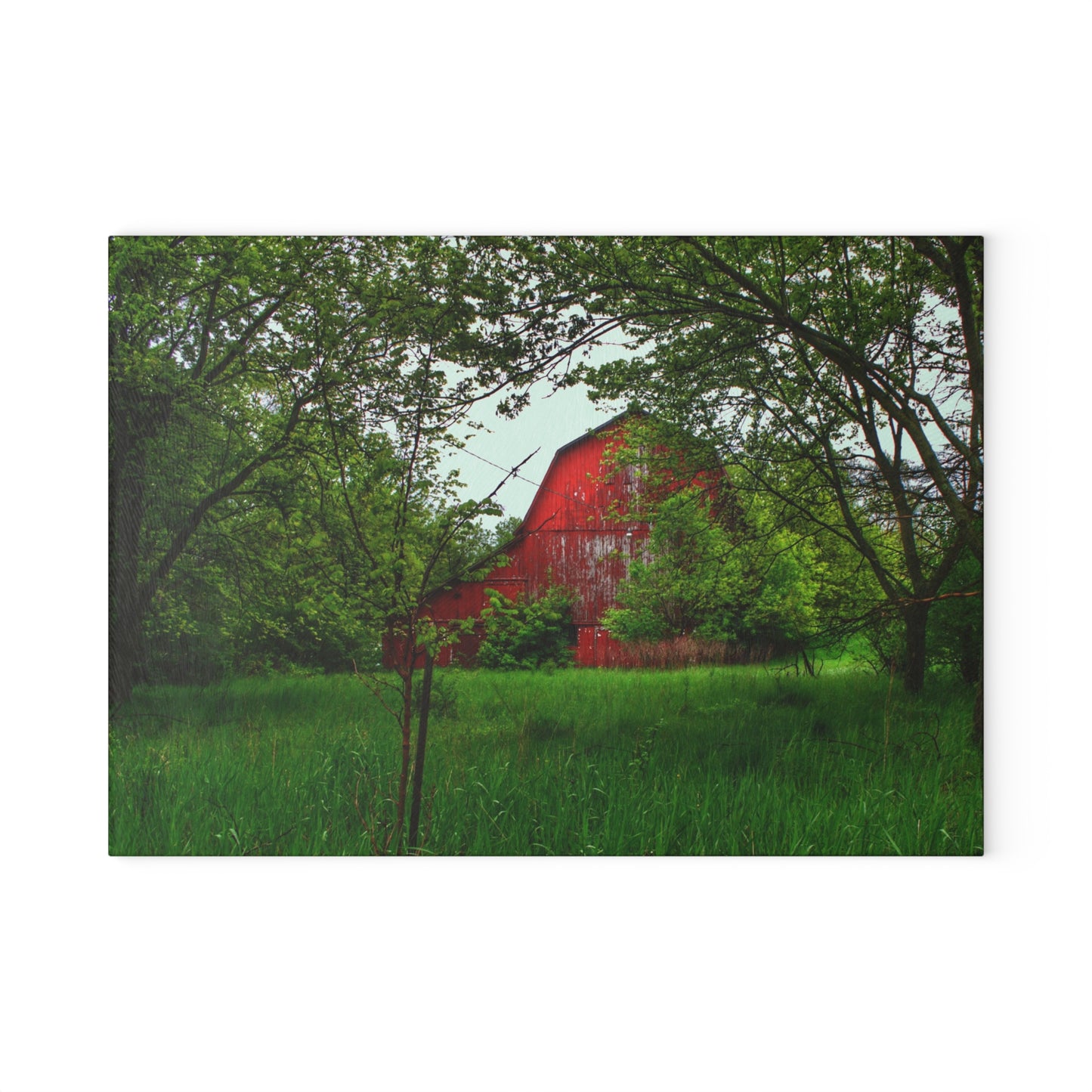 U R There Photography Bird Road Red Rustic Farmhouse Tempered-Glass Cutting Board