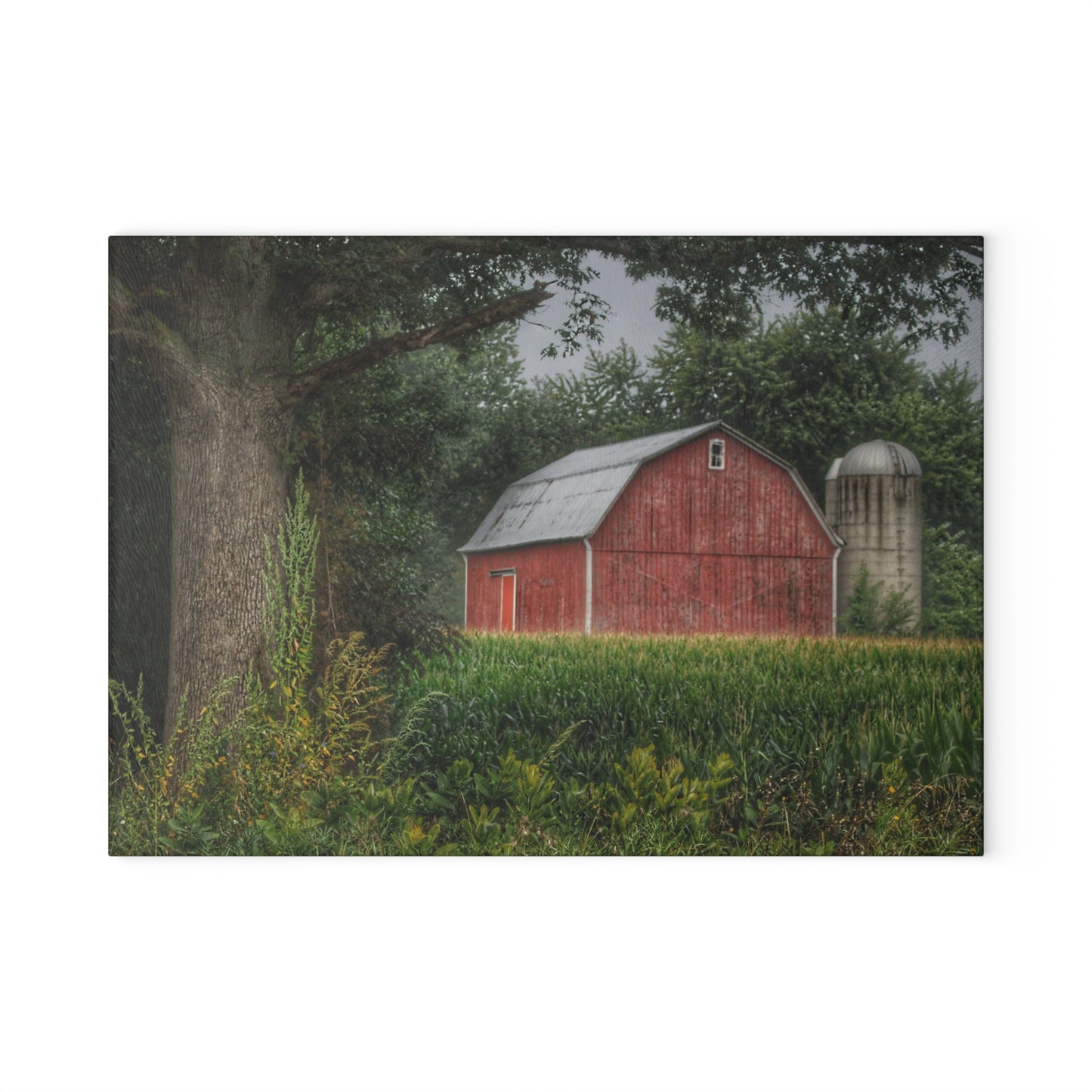 U R There Photography Mayville Lapeer Road Red Rustic Farmhouse Tempered-Glass Cutting Board
