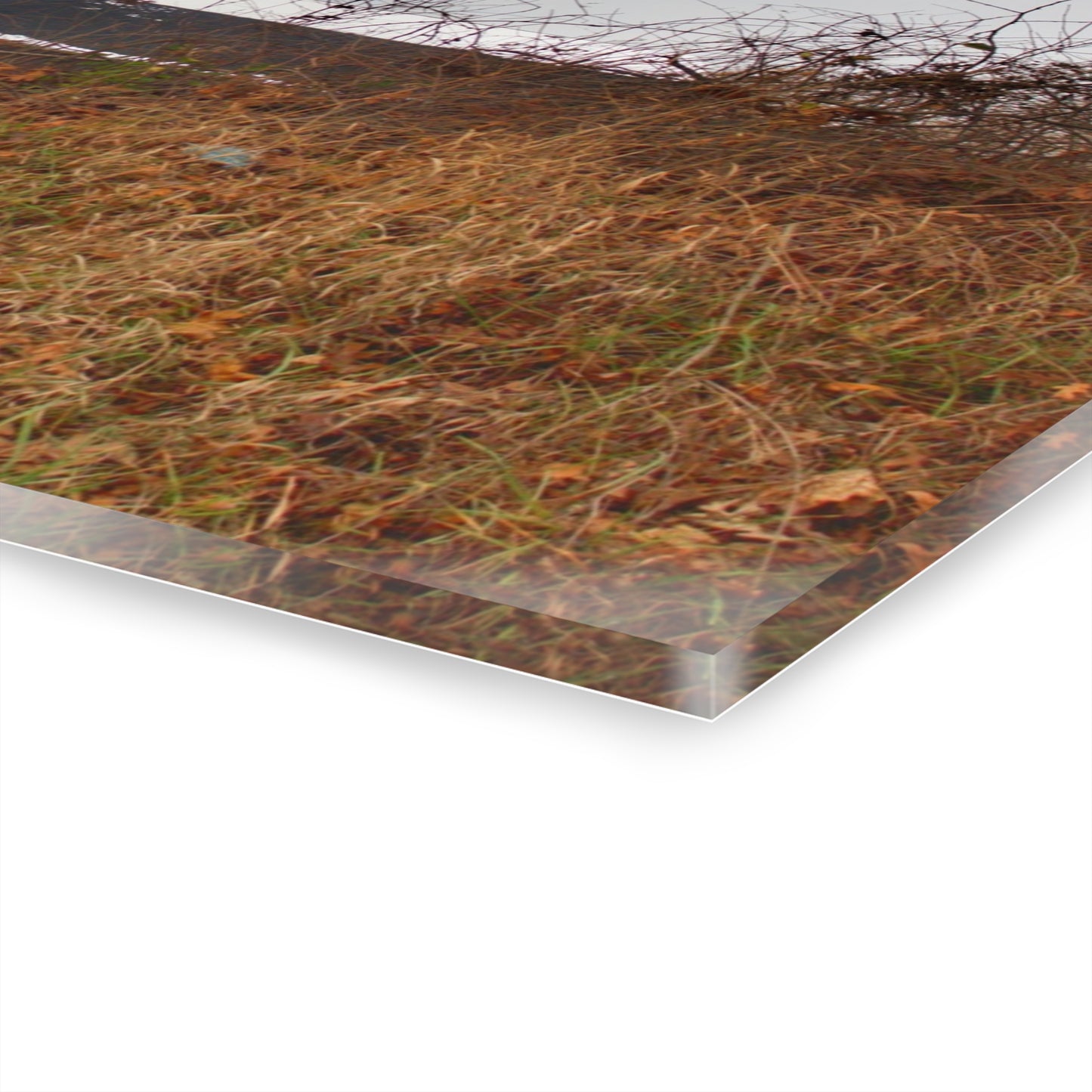 U R There Photography North Oxford Road Grey II Rustic Farmhouse Acrylic Wall Print