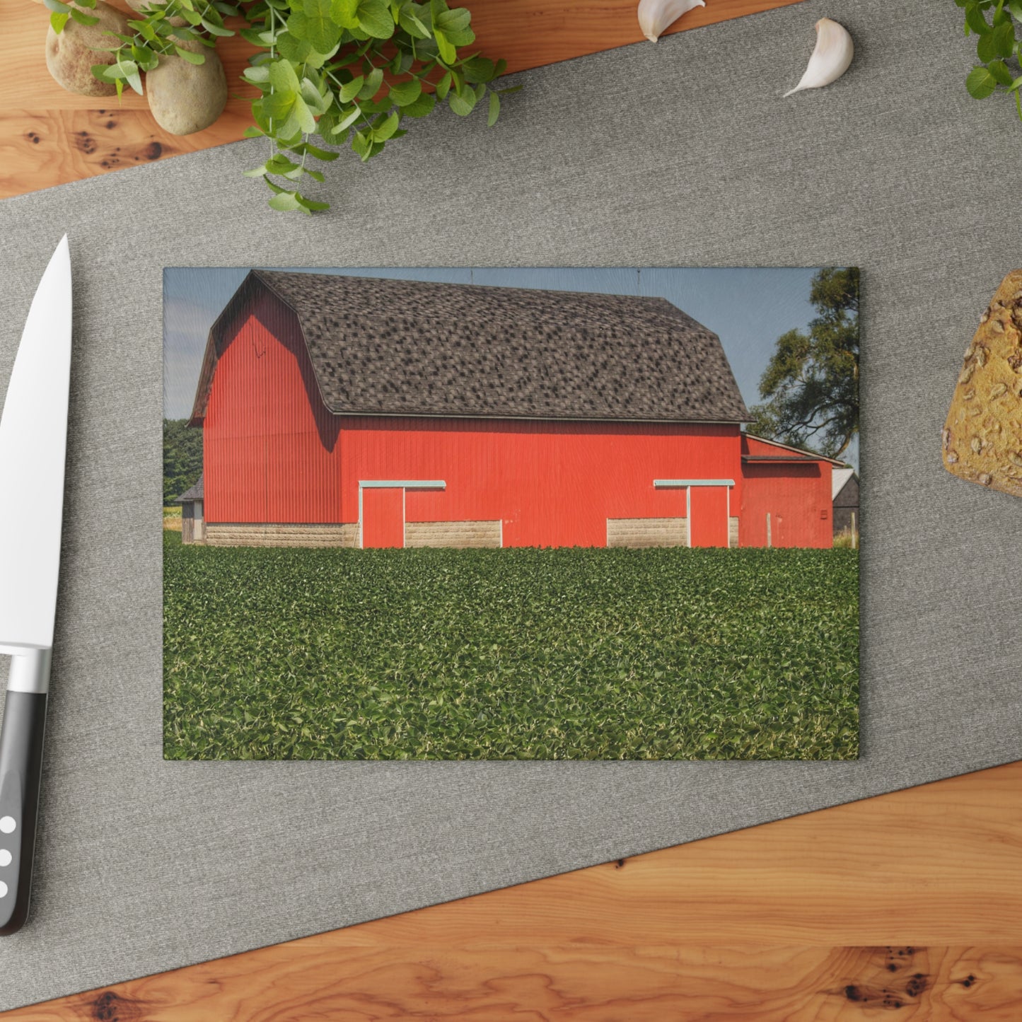 U R There Photography Elba Red I Rustic Farmhouse Tempered-Glass Cutting Board