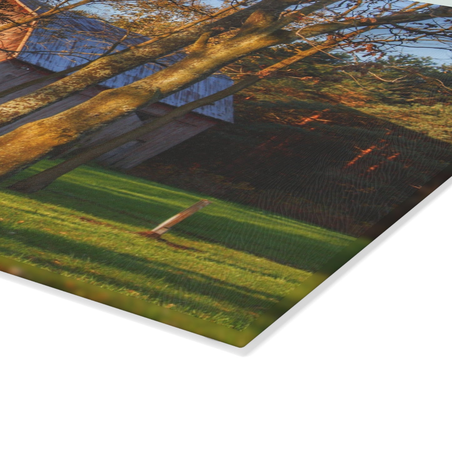 U R There Photography Hunters Creek Hidden Red Rustic Farmhouse Tempered-Glass Cutting Board