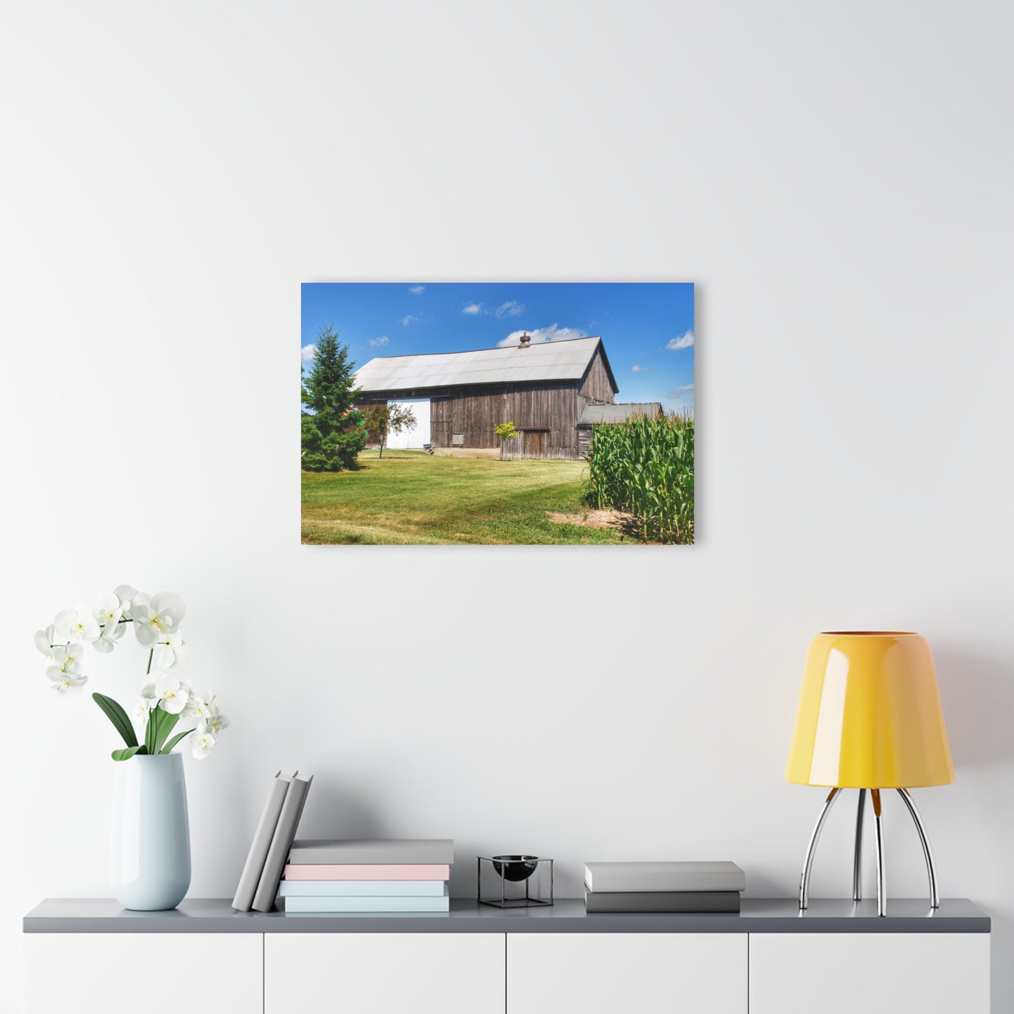 U R There Photography Frog Barn Rustic Farmhouse Acrylic Wall Print