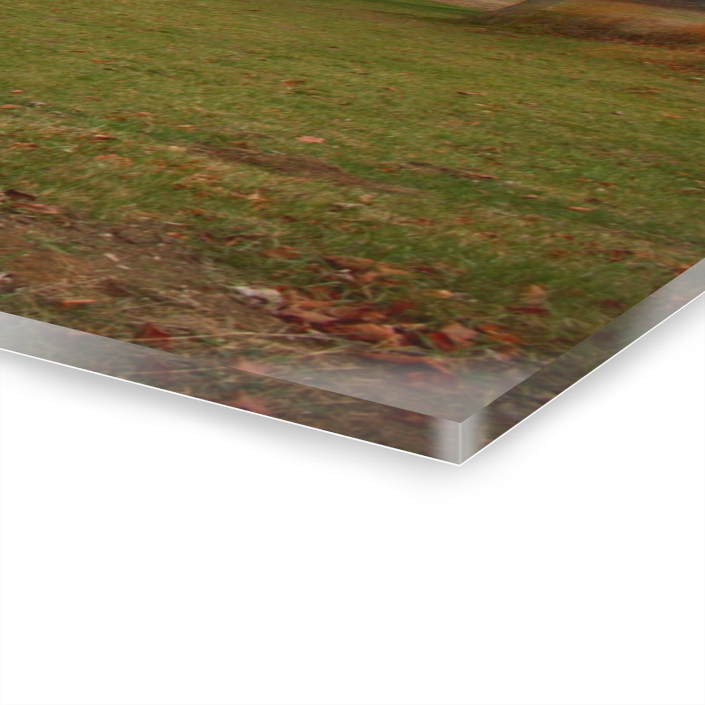 U R There Photography Roadside Greys of Carsonville Rustic Farmhouse Acrylic Wall Print