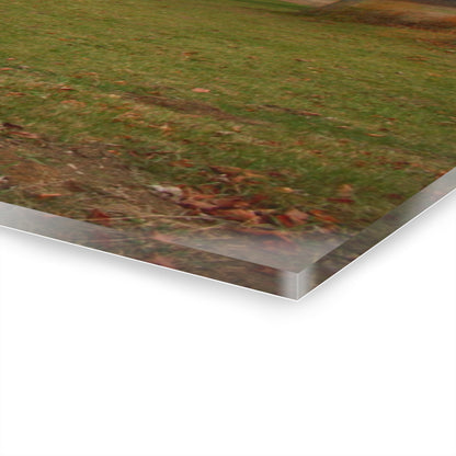 U R There Photography Roadside Greys of Carsonville Rustic Farmhouse Acrylic Wall Print