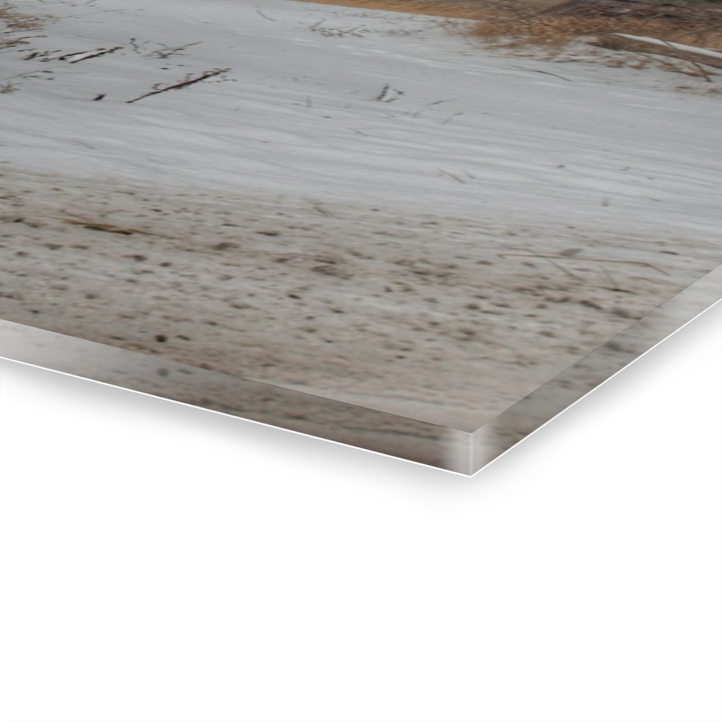 U R There Photography Midwinter Red Rustic Farmhouse Acrylic Wall Print