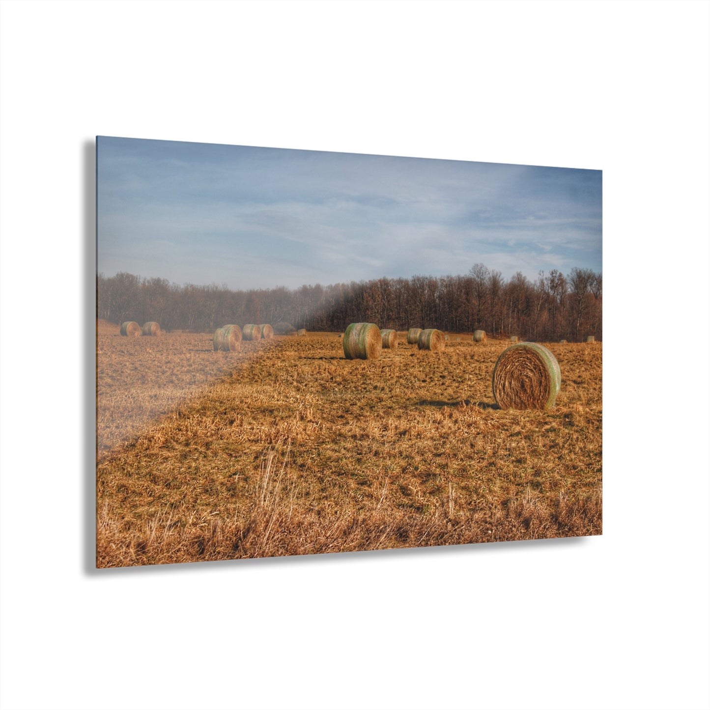 Barn Boutique Modern Farmhouse Acrylic Wall Print| December Haybales