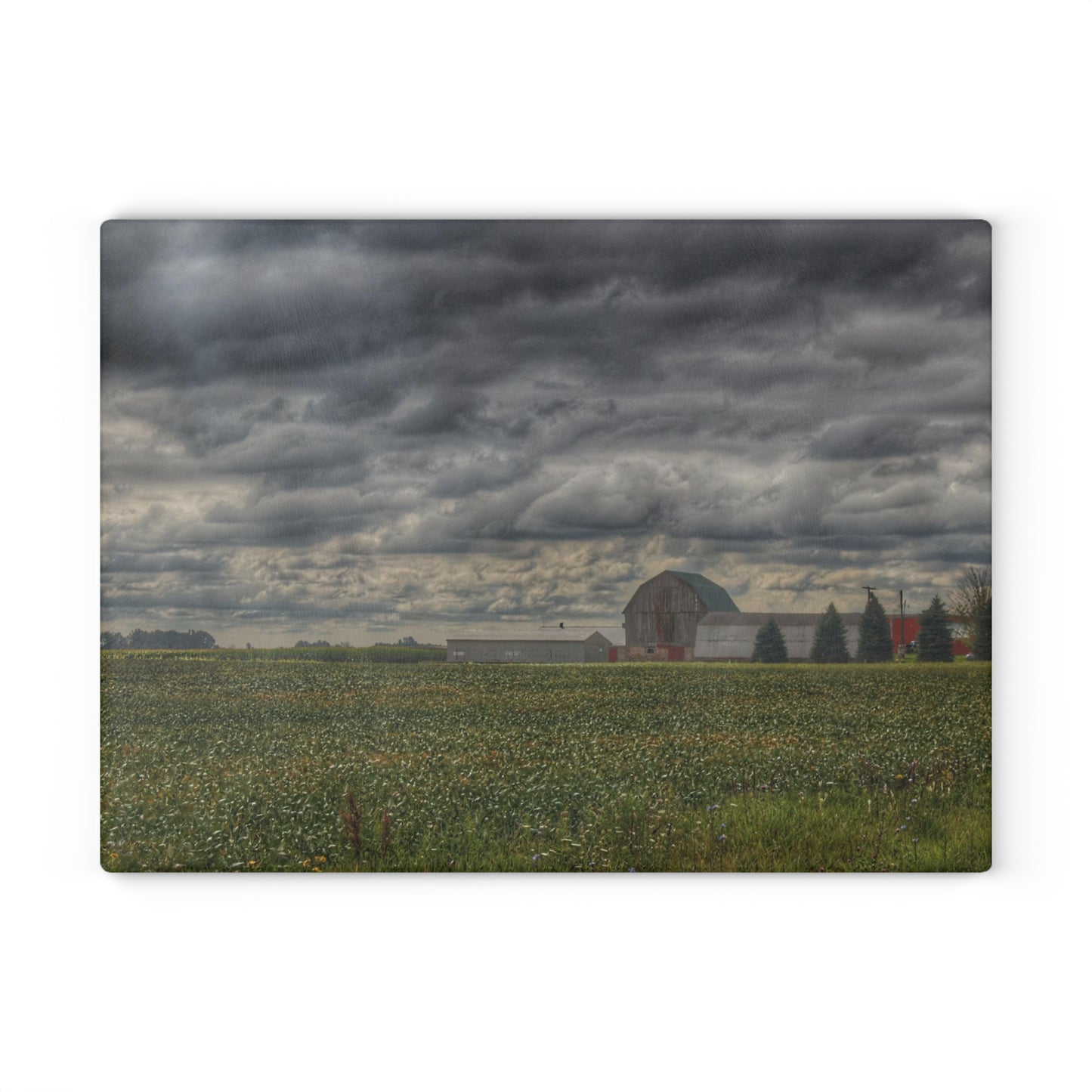 U R There Photography Early Fall on the Farm Rustic Farmhouse Tempered-Glass Cutting Board