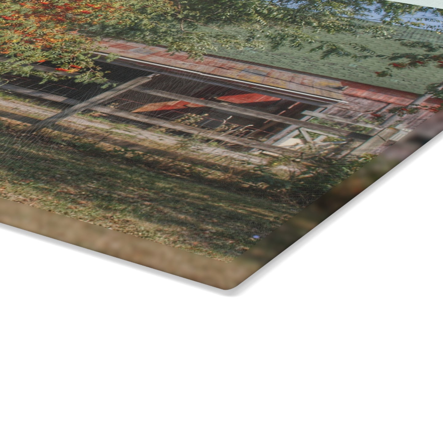 U R There Photography Farrand Road Red Coral by Flowering Tree Rustic Farmhouse Tempered-Glass Cutting Board