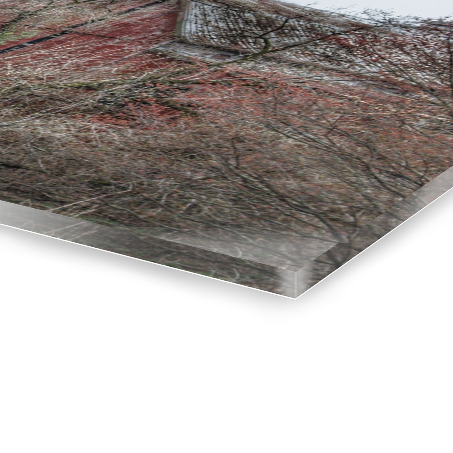 U R There Photography Morris Road Hidden Rustic Farmhouse Acrylic Wall Print