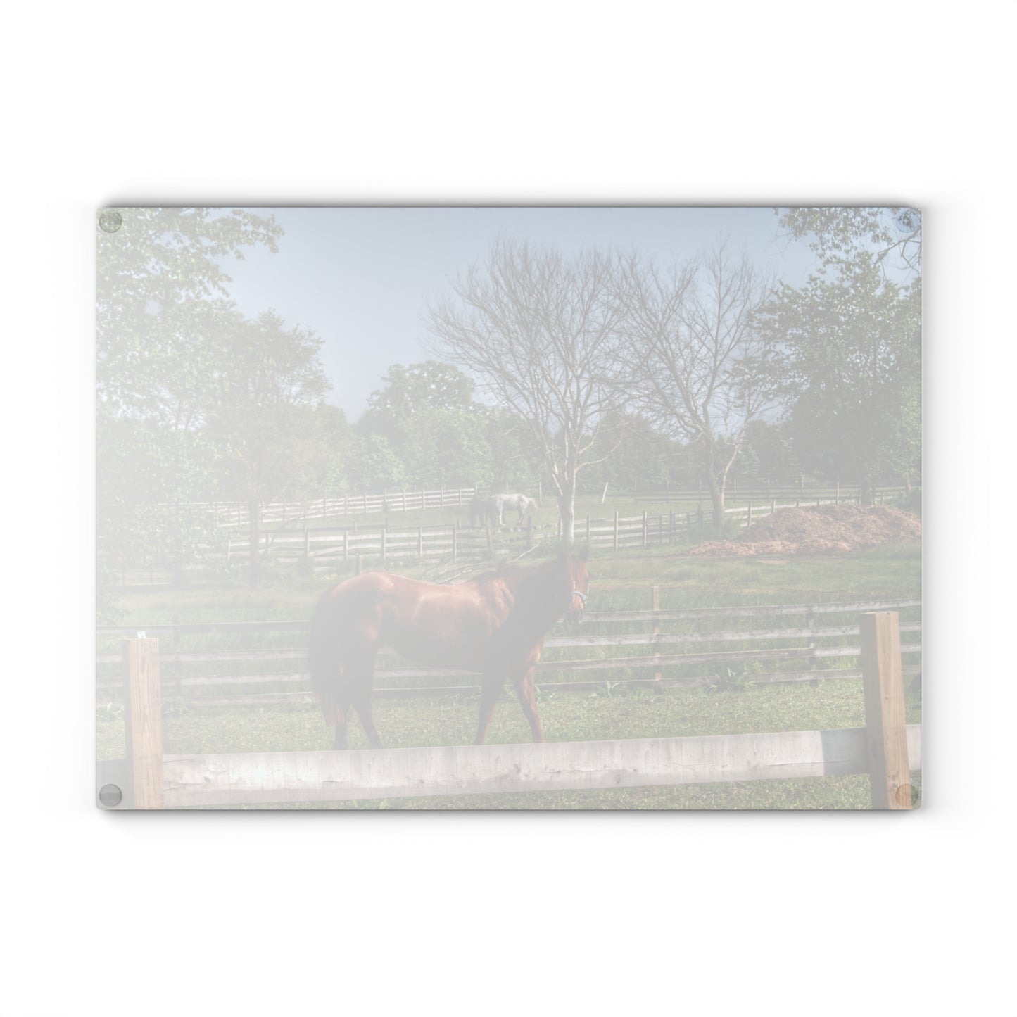 U R There Photography Summer Road Ponies Rustic Farmhouse Tempered-Glass Cutting Board