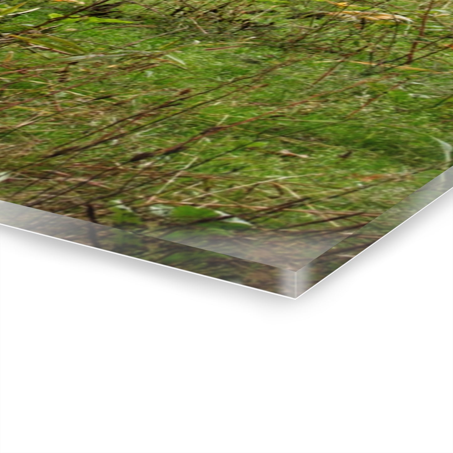 U R There Photography Once Upon a Time in a Pumpkin Patch Rustic Farmhouse Acrylic Wall Print